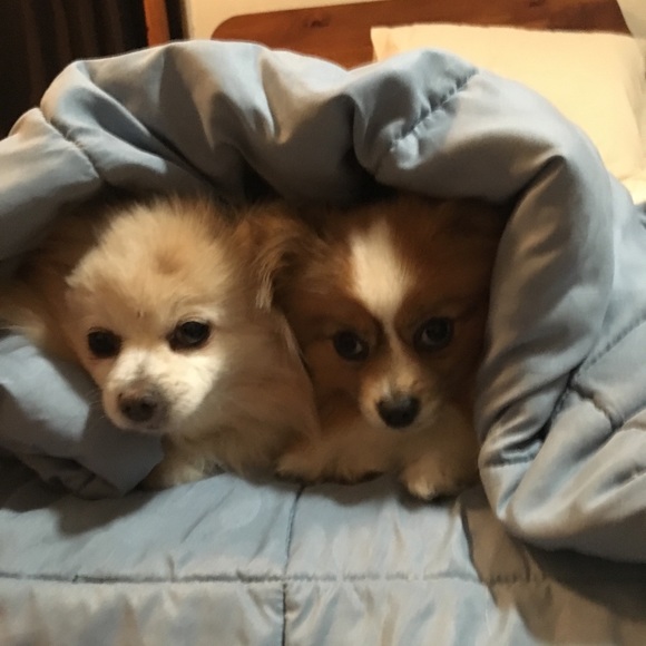 Enjoy the variety of items at The Golden Rule - Picture 4 of 5